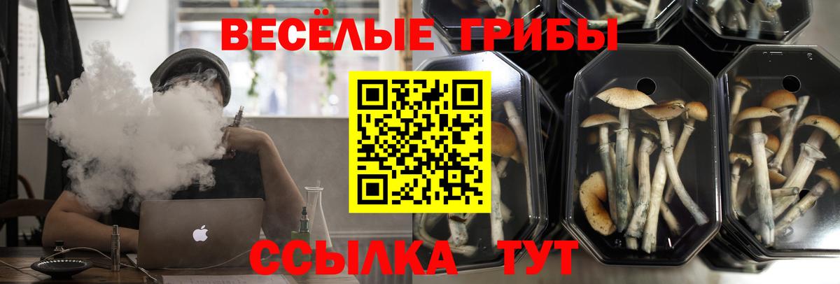 Псилоцибиновые грибы прущие грибы  закладки  Гуково  Вход с VPN 